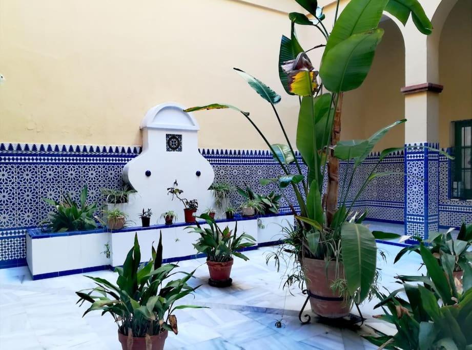 Apartment Hispalis Conde De Ibarra Seville